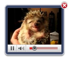 imbed video player in my webpage Embed Video In Web Page
